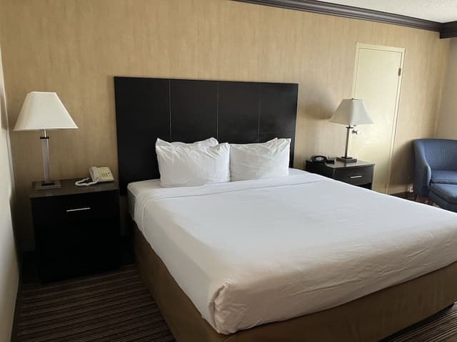 Room, 1 King Bed, Accessible, Non Smoking (Mobility Accessible)
