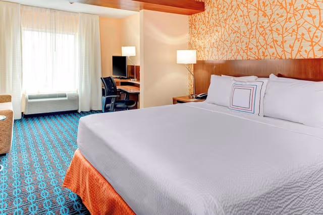 Suite, 1 King Bed with Sofa bed