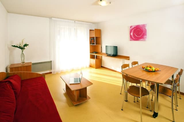 Apartment, 1 Bedroom, Kitchenette