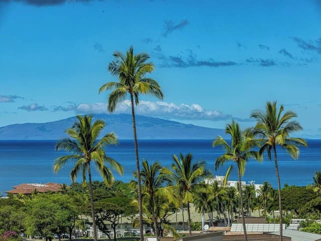 Condo, 2 Bedrooms, Ocean View (910)