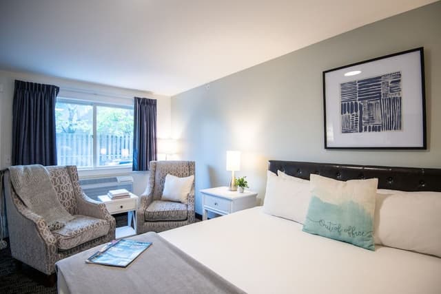 Room, 1 King Bed