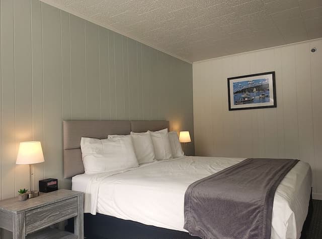 Room, 1 King Bed