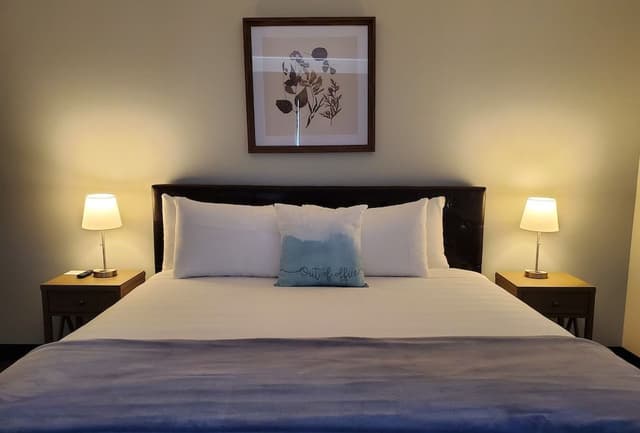 Room, 1 King Bed