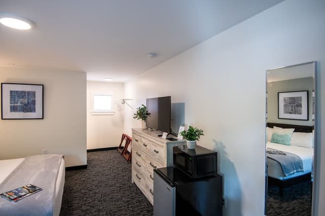 Room, 1 King Bed
