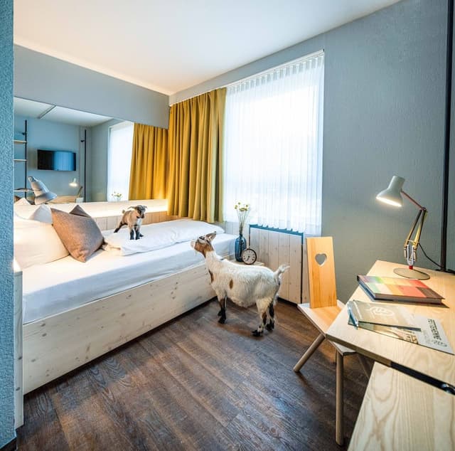 Standard Single Room