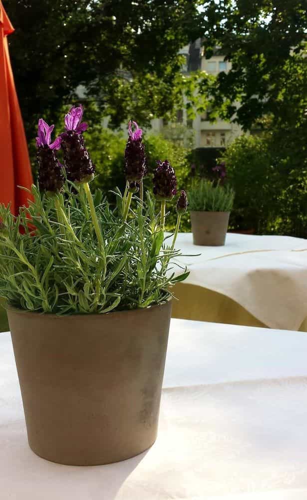 Hotel Mingarden Hotel Mingarden