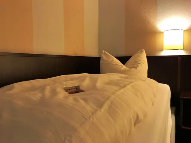 Basic Single Room