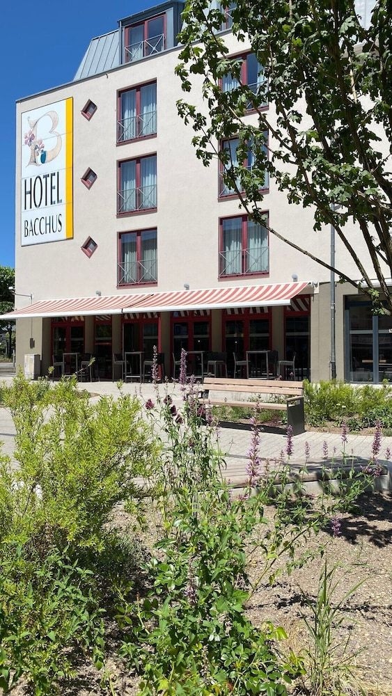 Hotel Bacchus0
