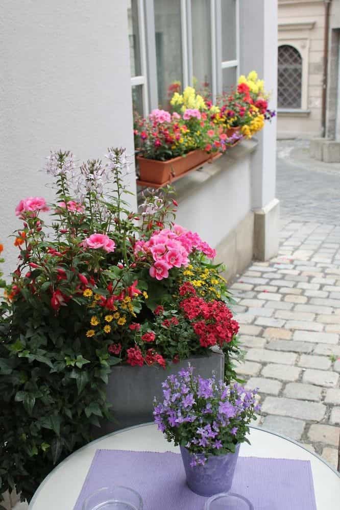Hotel am Rathaus Hotel am Rathaus