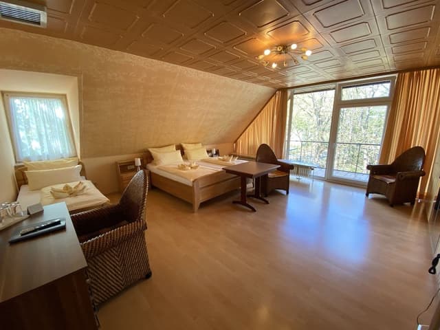Comfort Triple Room (free public transport ticket)