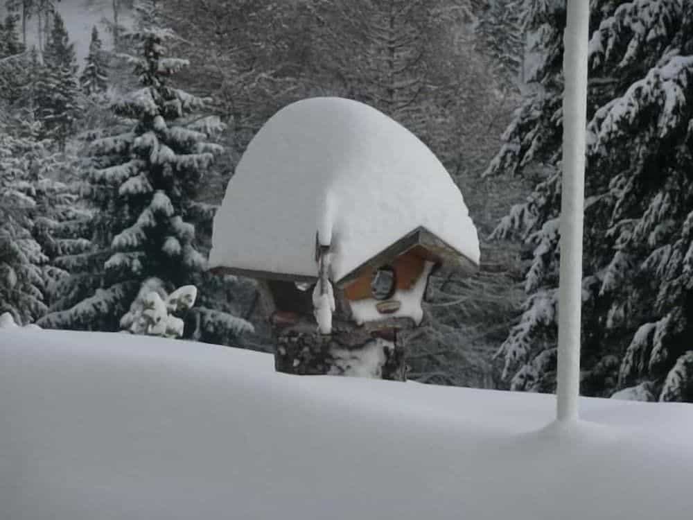 Cafe- Pension Fernblick Cafe- Pension Fernblick