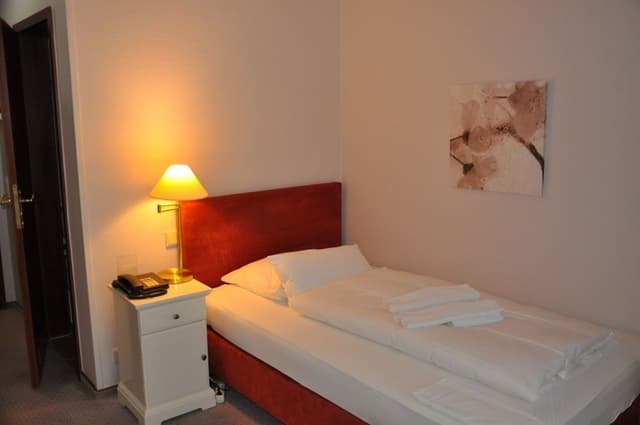 Basic Single Room