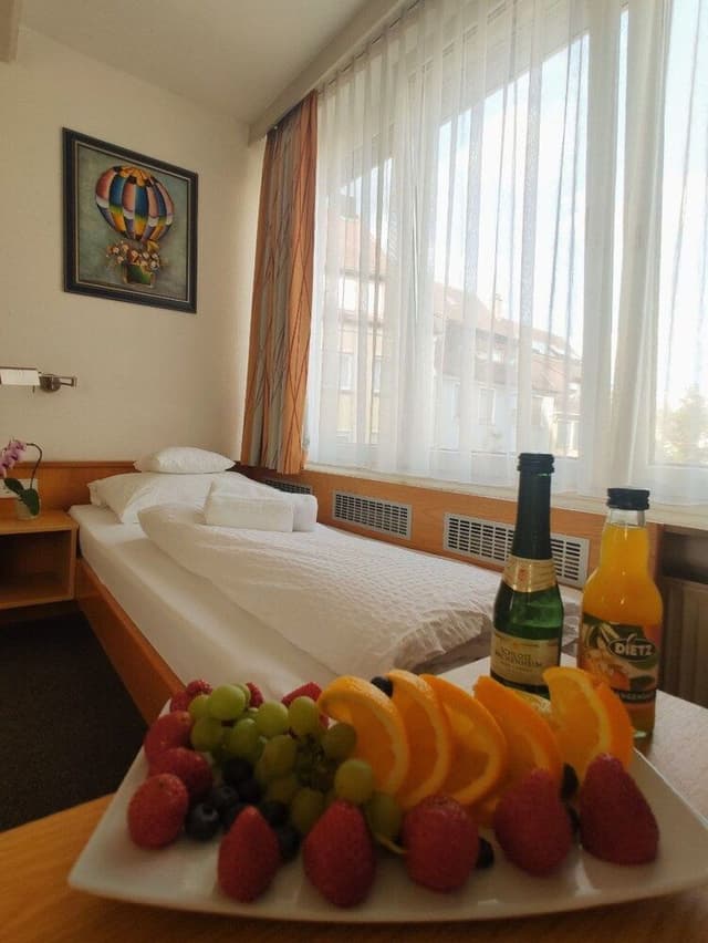 Standard Single Room, Private Bathroom