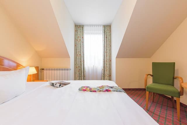 Business Single Room