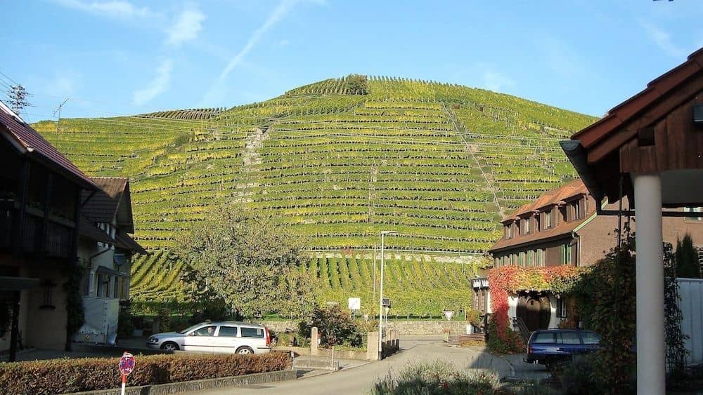 Hotel Altenberg Hotel Altenberg