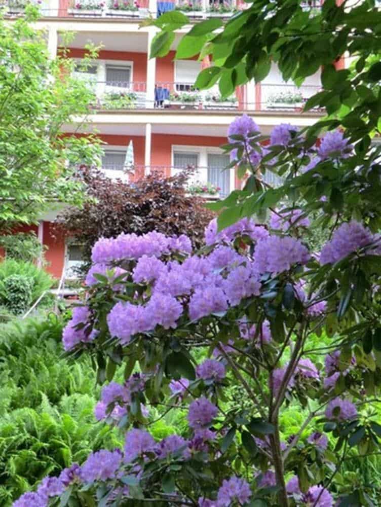 Hotel Sonnenhof Hotel Sonnenhof