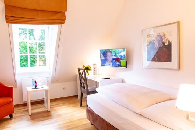 Comfort Single Room