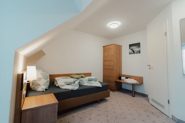 Comfort Single Room, 1 Large Twin Bed, Non Smoking, Private Bathroom