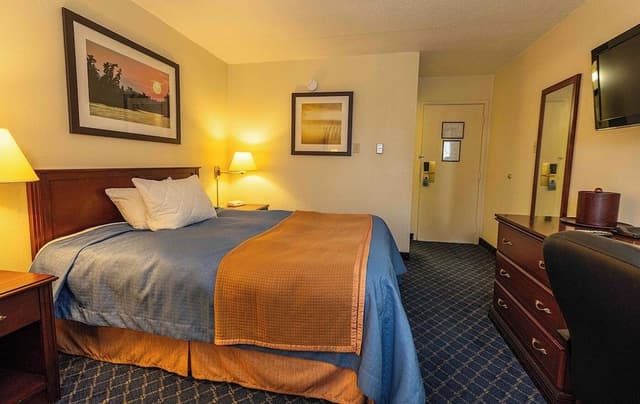 Standard Room, 1 Queen Bed, Non Smoking