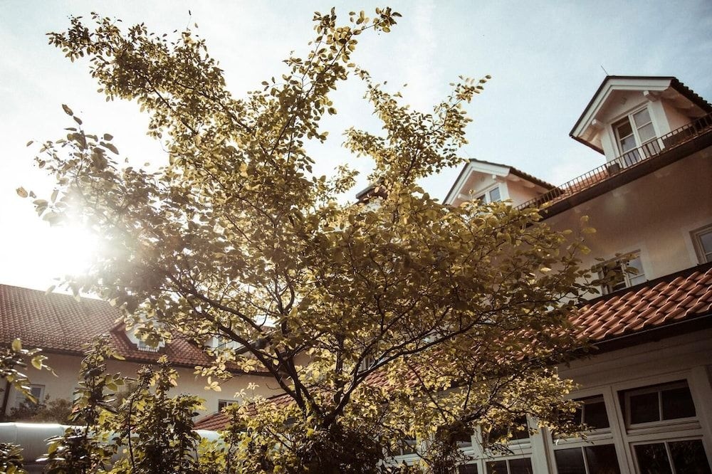 Hotel Limmerhof0