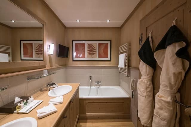 Deluxe Room Mountain View