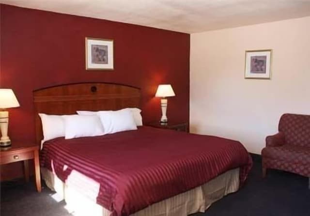 Standard Single Room, 1 King Bed, Accessible