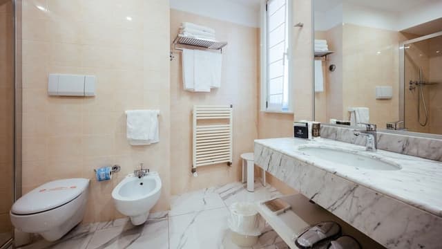 Superior Double or Twin Room