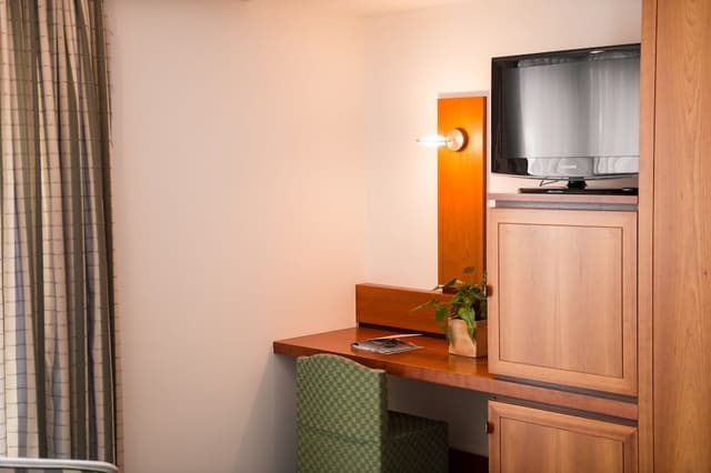 Comfort Double or Twin Room, Mountain View