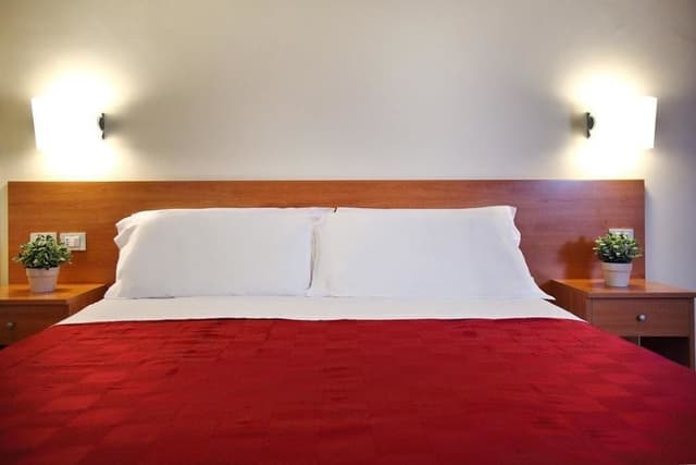 Single Room, 1 Large Twin Bed