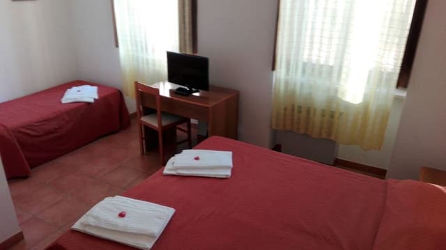 Single Room, 1 Large Twin Bed