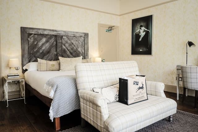 Junior Suite, 1 King Bed