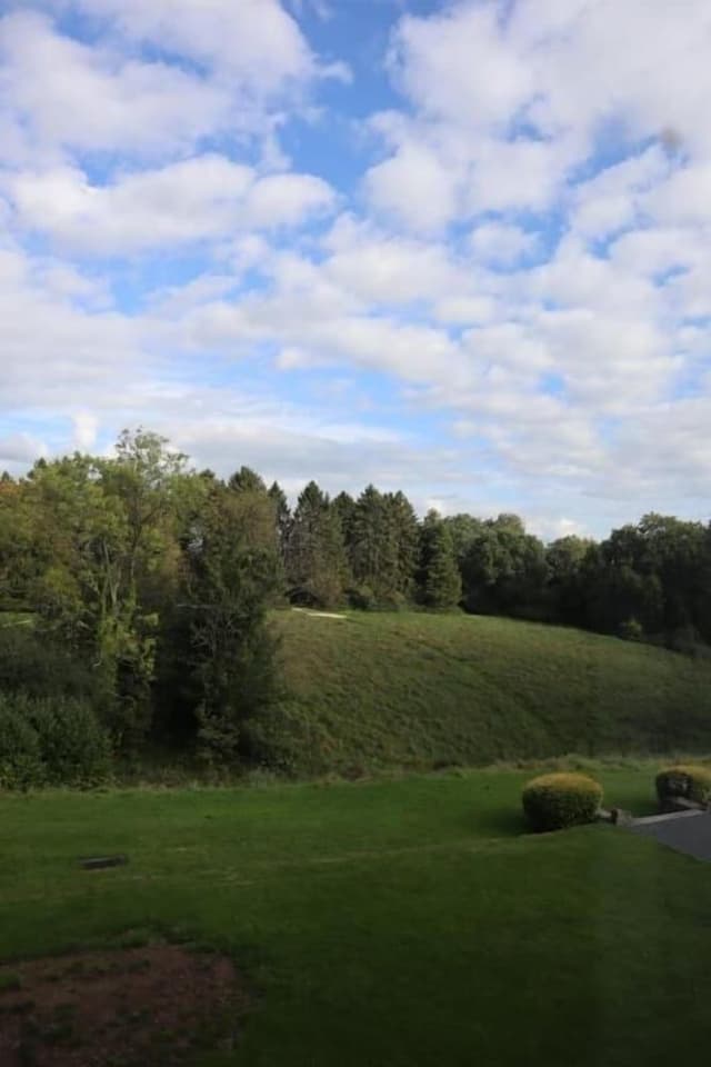 Deluxe Suite, Garden View