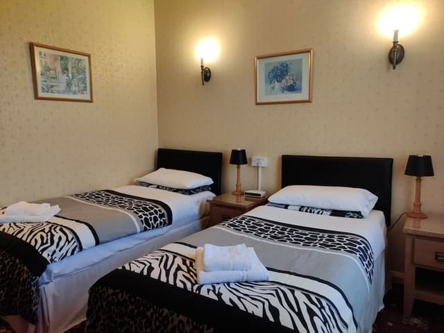 Standard Twin Room
