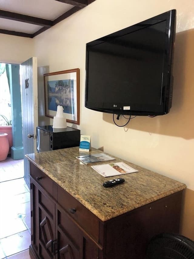 Room, 1 King Bed