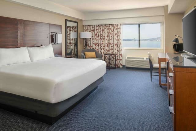 DELUXE 1 KING BED