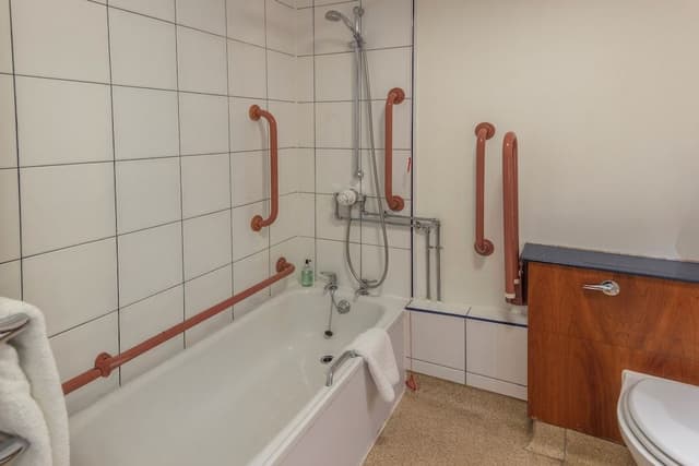 Deluxe Room, 2 Twin Beds, Non Smoking