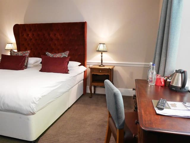 Double Room, 1 King Bed