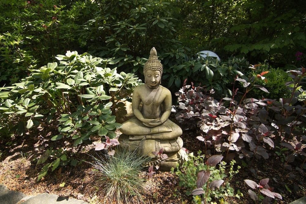 Balance Hotel am Blauenwald4