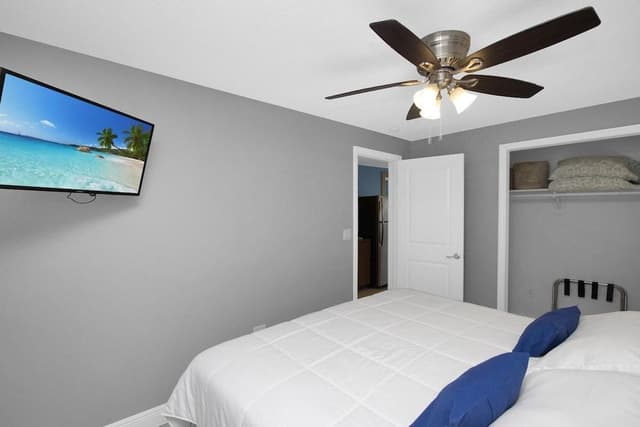 Suite 7 Not Pet-Friendly