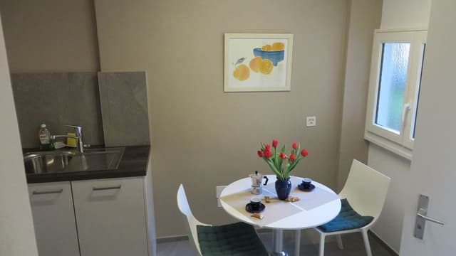 Apartment, 1 Bedroom (Apartment Nr. 17)