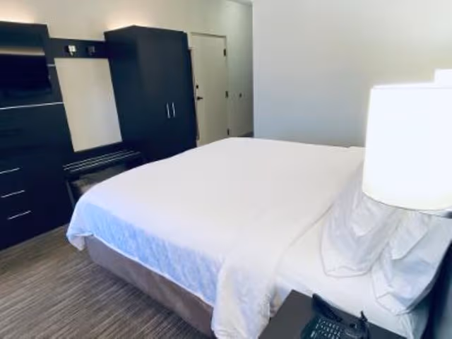 Standard Room, 1 King Bed with Sofa bed
