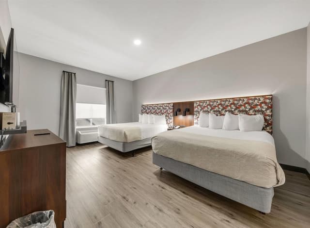 Suite, 1 Bedroom, Non Smoking, Kitchen