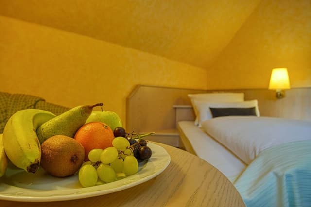 Comfort Single Room, Accessible