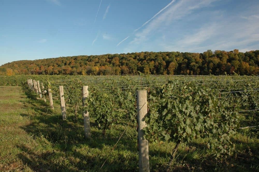 Residence & Conference Centre - Niagara-on-the-Lake Residence & Conference Centre - Niagara-on-the-Lake