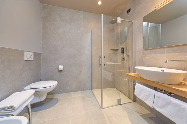 Executive Double or Twin Room, Balcony