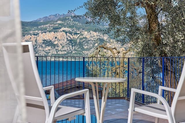 Executive Double or Twin Room, Balcony