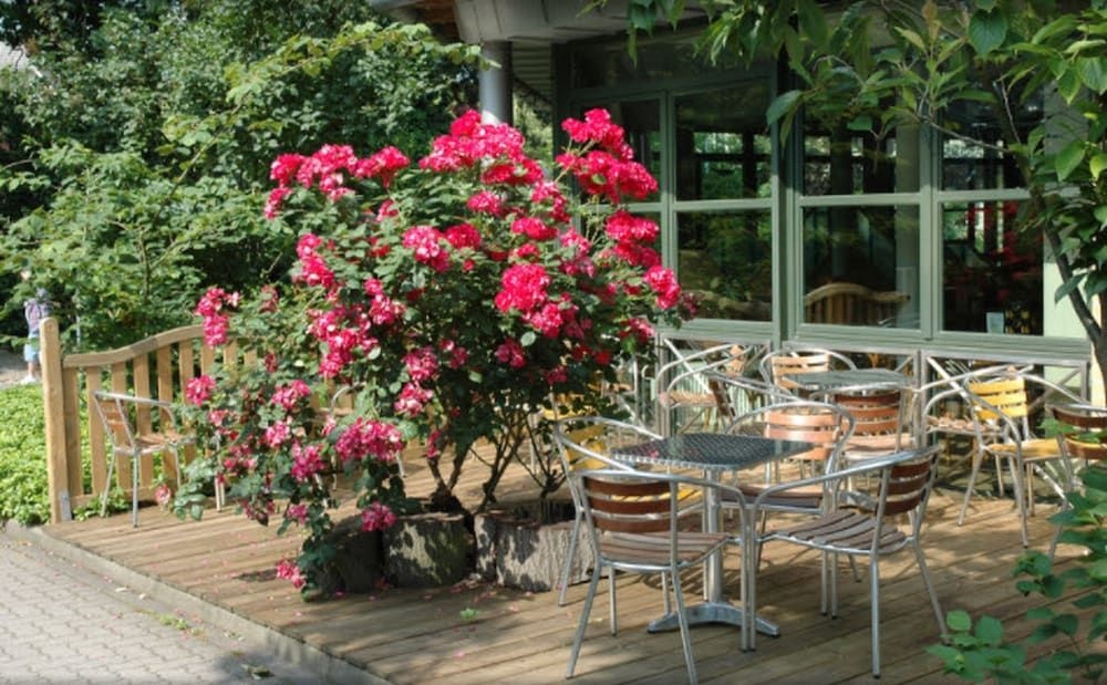 Grandhotel Esplanade3