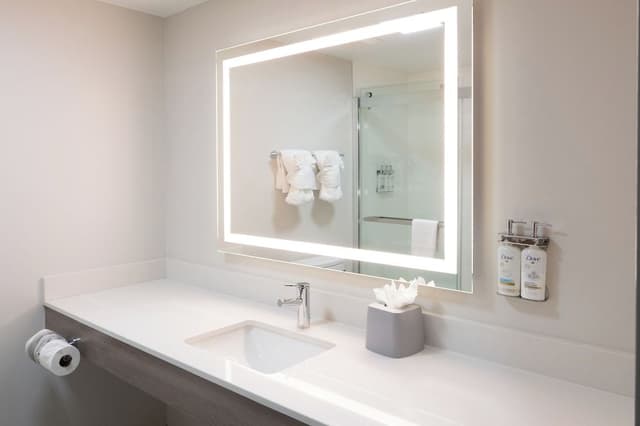 Suite, 1 King Bed