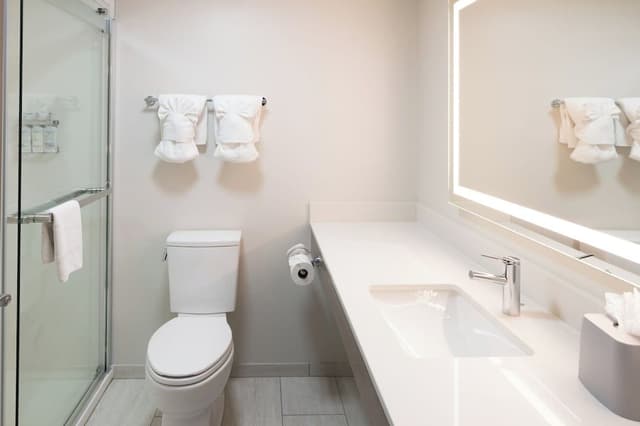 Suite, 1 King Bed