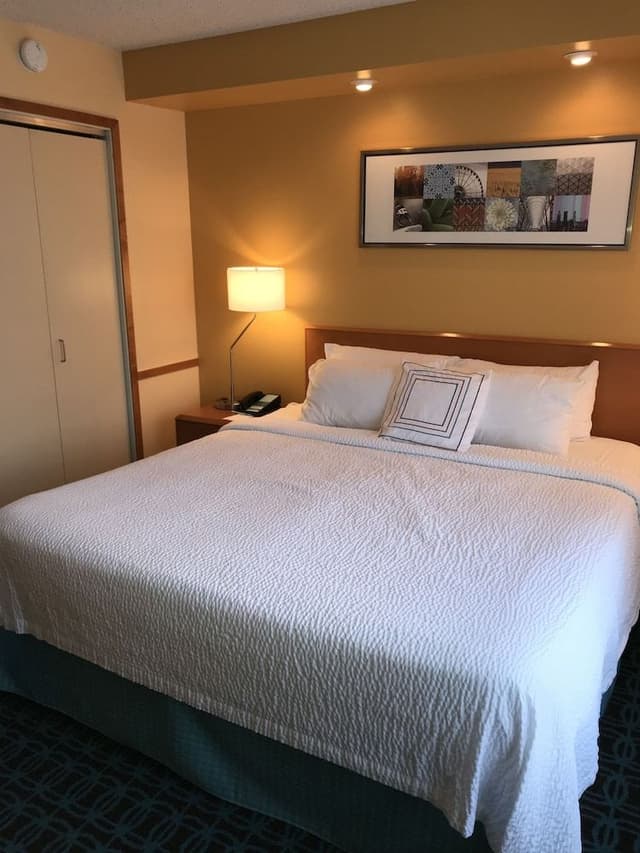 Room, 1 King Bed